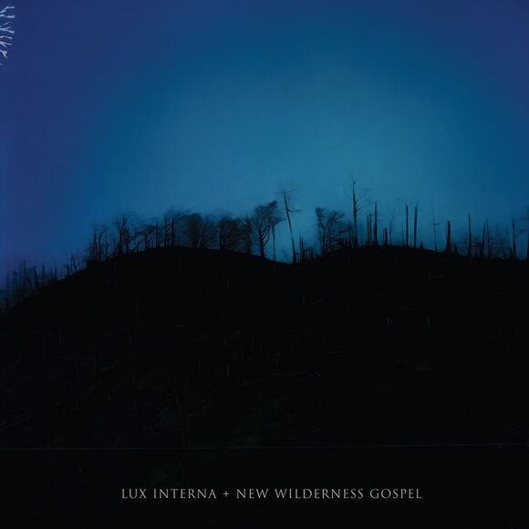 Lux Interna - New Wilderness GospelCD